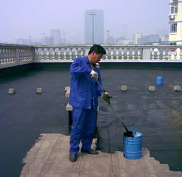 北京大兴区专业屋顶防水堵漏1